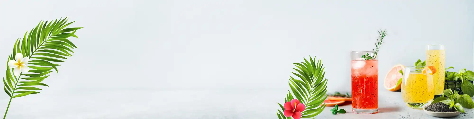 Beverage Refrigerator